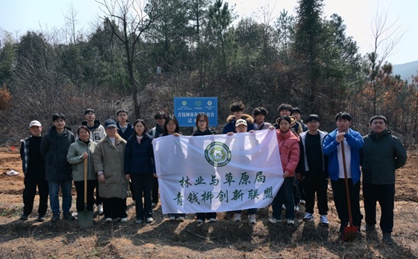 17732028045664.png 1.jpg