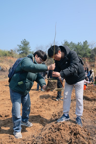 17732028504302.png 4.jpg