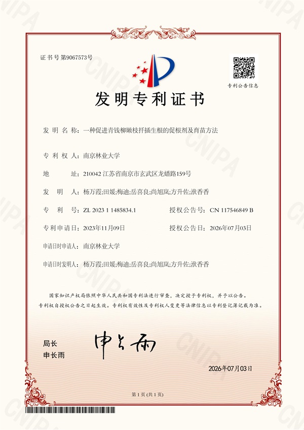 发明专利证书--一种促进青钱柳嫩枝扦插生根的促根剂及育苗方法.jpg